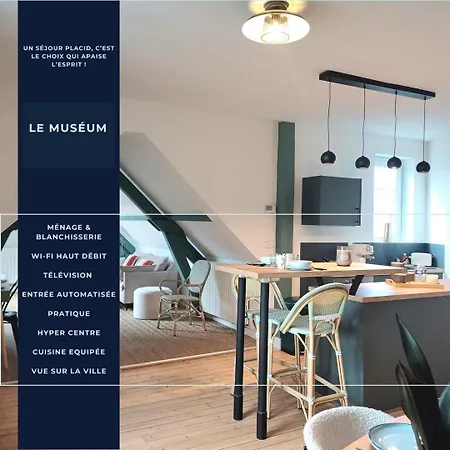 Le Museum - Confortable Avec Vue Sur La Cathedrale Apartment